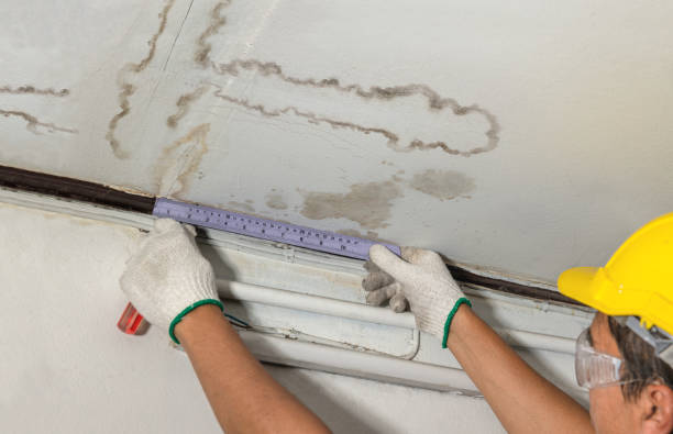 Reliable Burst Pipe Cleanup contractor in Melvin, MI by Local Water Damage Repair